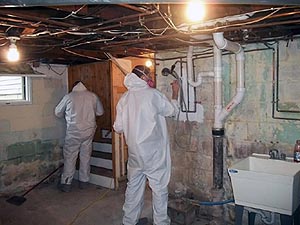 Residential Mold Remediation